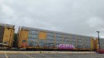 NKCR 5529 (Body) TTGX 974642 (Flat)